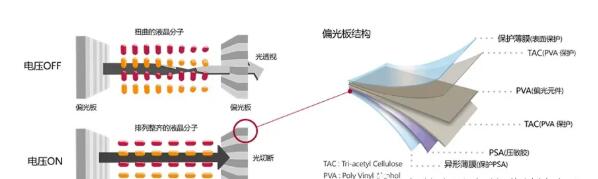 離型膜 離型膜